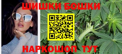 дмт Камышлов