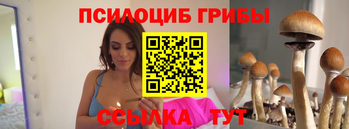 Псилоцибиновые грибы Magic Shrooms  Вход с VPN  Галлюциногенные грибы мицелий  Дзержинский 